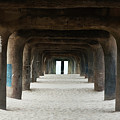 Elephant Legs